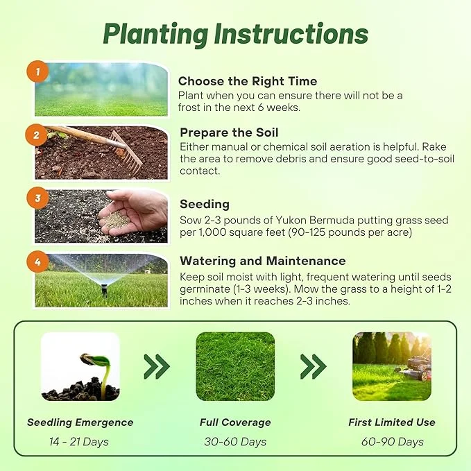 Yukon Bermuda Grass Seed