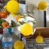 Fruit Fly Trap Killer Fruit Fly Catcher Drosophila Trap for Outdoor Garden Patio