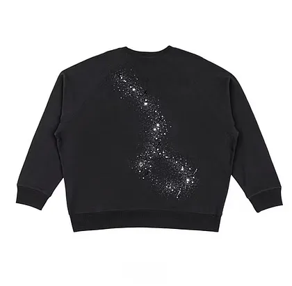 BTS ARIRANG Hoodie | BTS Tour Hoodies & Concert Apparel