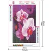 Phalaenopsis | Full Round Diamond Painting Kits