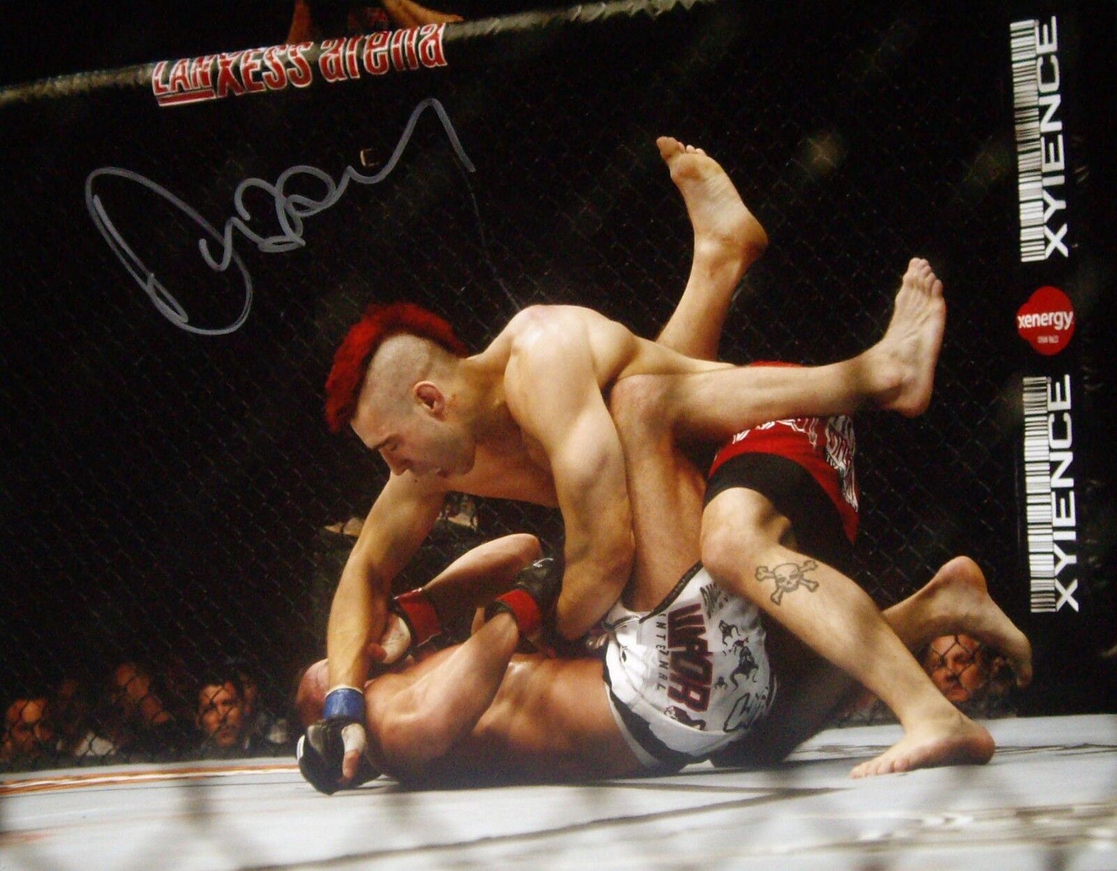 SIGNED DAN HARDY 16x12 UFC Photo Poster painting COA & PROOF MMA CAGE FIGHTER