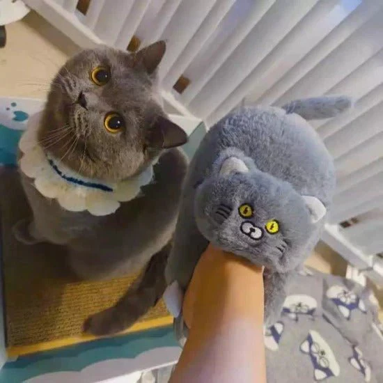 Winter Furry Cuddly Cat Soft Anti-Slip Home Slippers