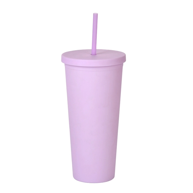 Double-layer Plastic Straw Cup With Lid 24oz Large-capacity Plastic Frosted Ready-to-hand Water Cup