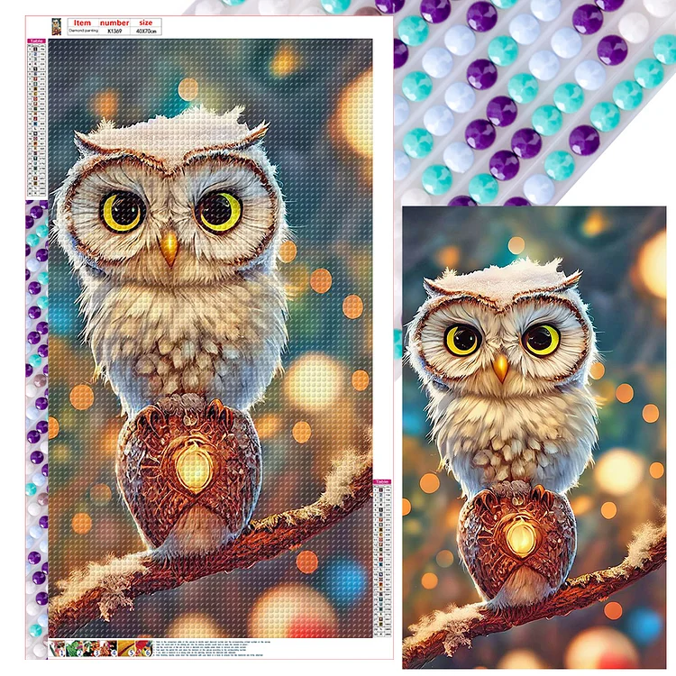Full Round Diamond Painting - Big Eyed Owl 40*70CM