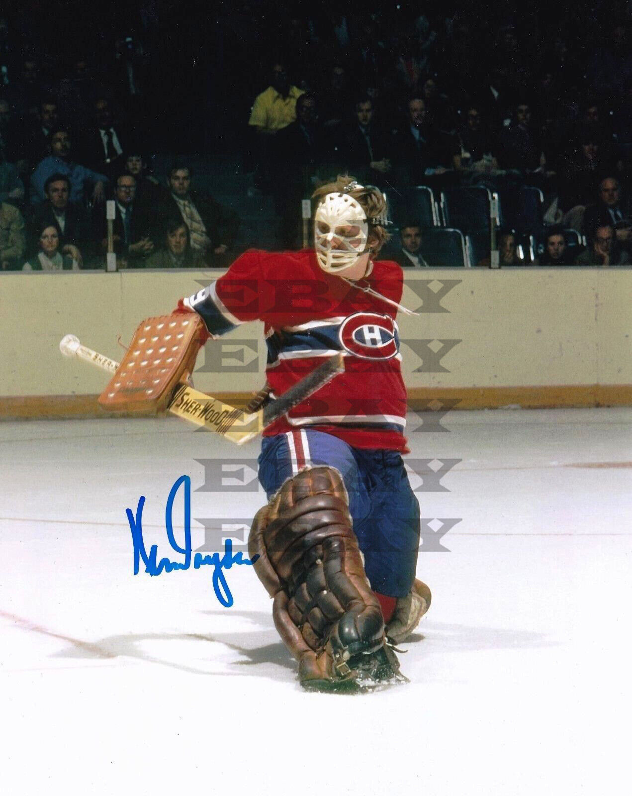 Ken Dryden Montreal Canadiens 8x10 autographed Photo Poster painting Reprint