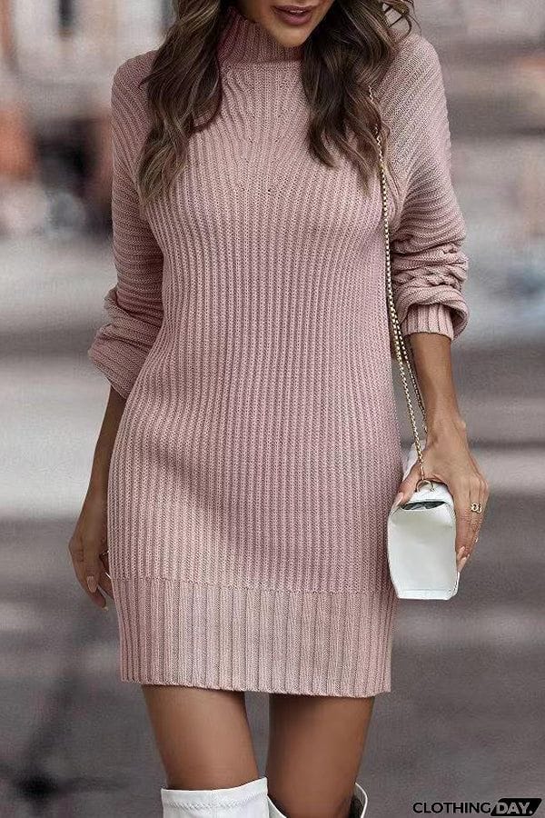 Rieuh Turtleneck Long Sleeve Knitted Mini Dress