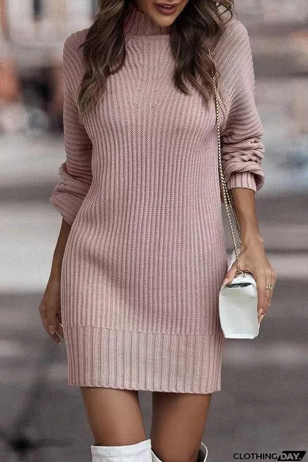 Rieuh Turtleneck Long Sleeve Knitted Mini Dress