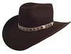 Sheriff Walter Longmire Hat
