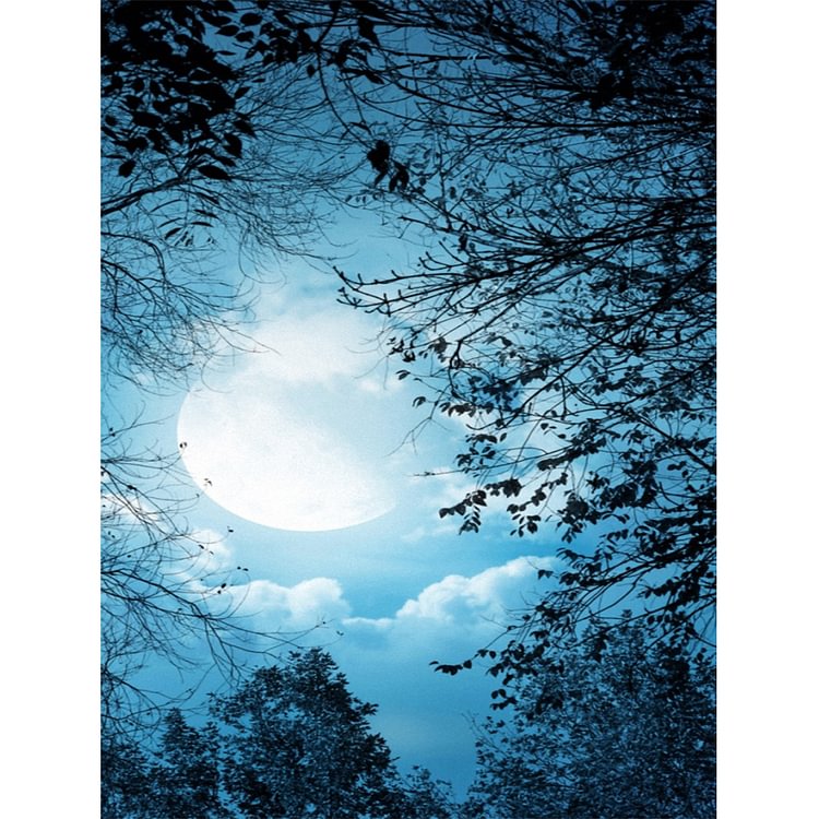 Diamond Painting - Full Round - Blue Moon(30*40cm)