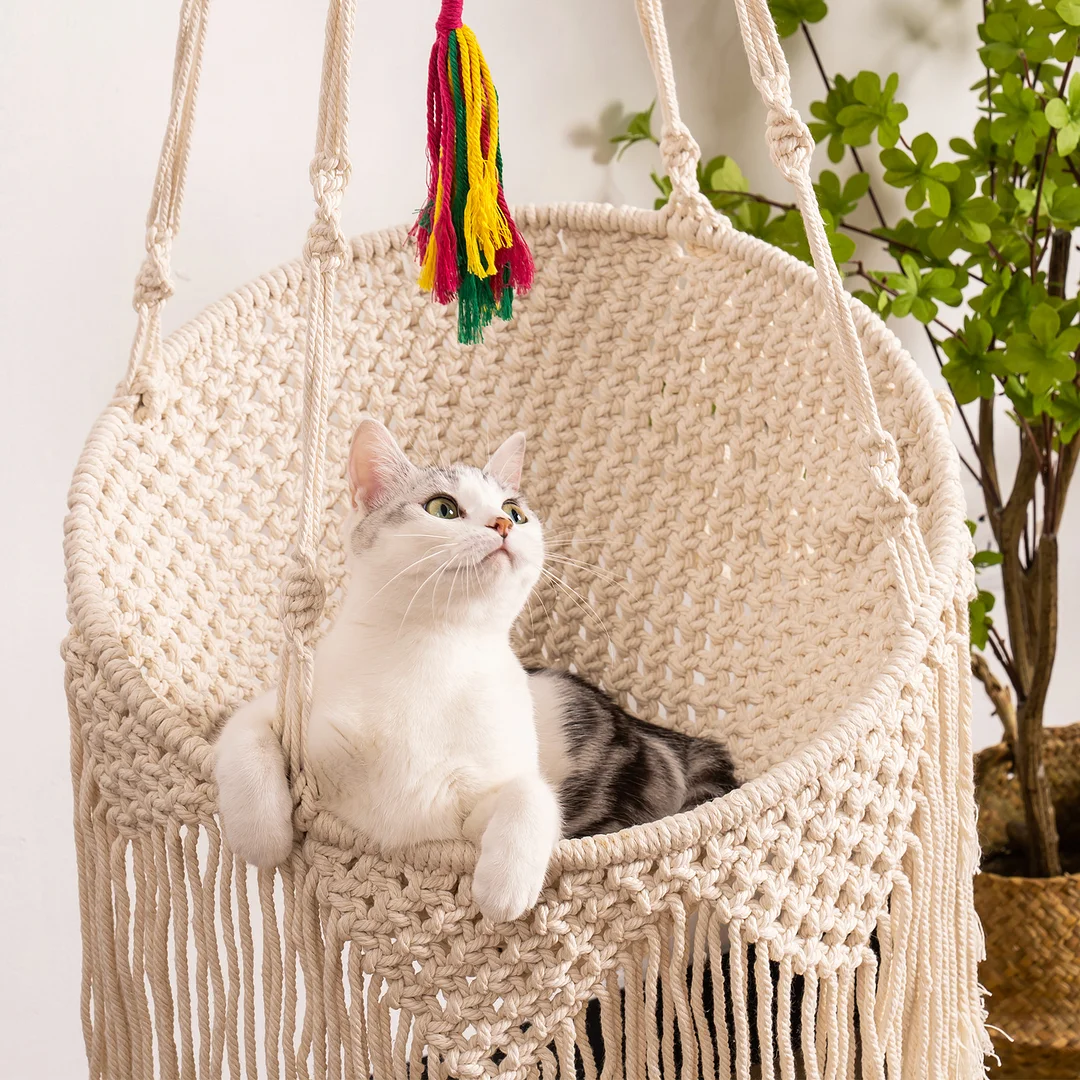 Hanging Cat Hammock