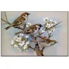Flowers and birds | Full Round Diamond Painting Kits