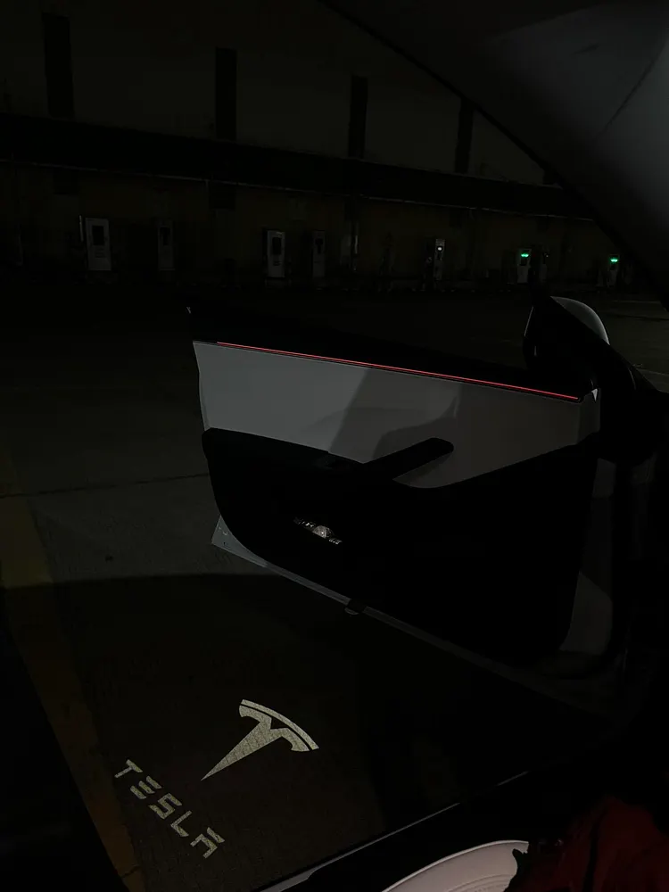 Tesla Model S3XY/ Model 3 Highland Puddle Lights Projector Door