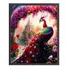 Red Peacock Full Stamped Cross Stitch Kit 11CT 3-Strand 50x65cm