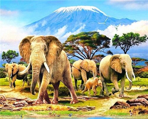 

Kilimanjaro Elephant – Paint By Numbers - 40*50CM, 501 Original