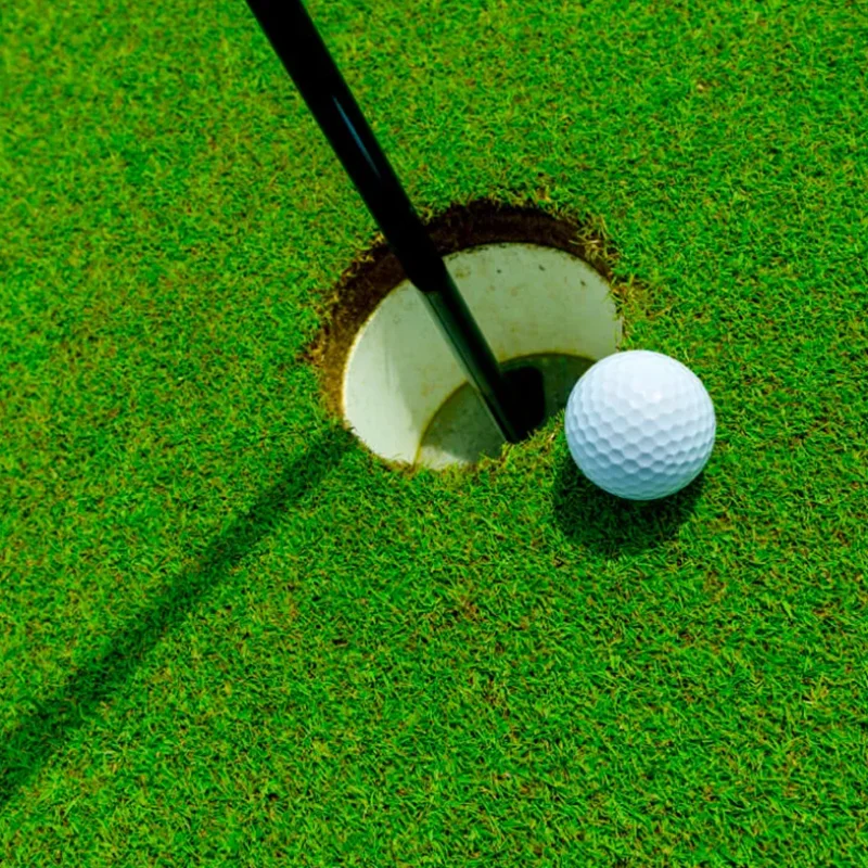 Crystal Bluelinks Bent Grass