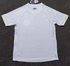 2023/2024 Santos Home Football Shirt 1:1 Thai Quality love fball