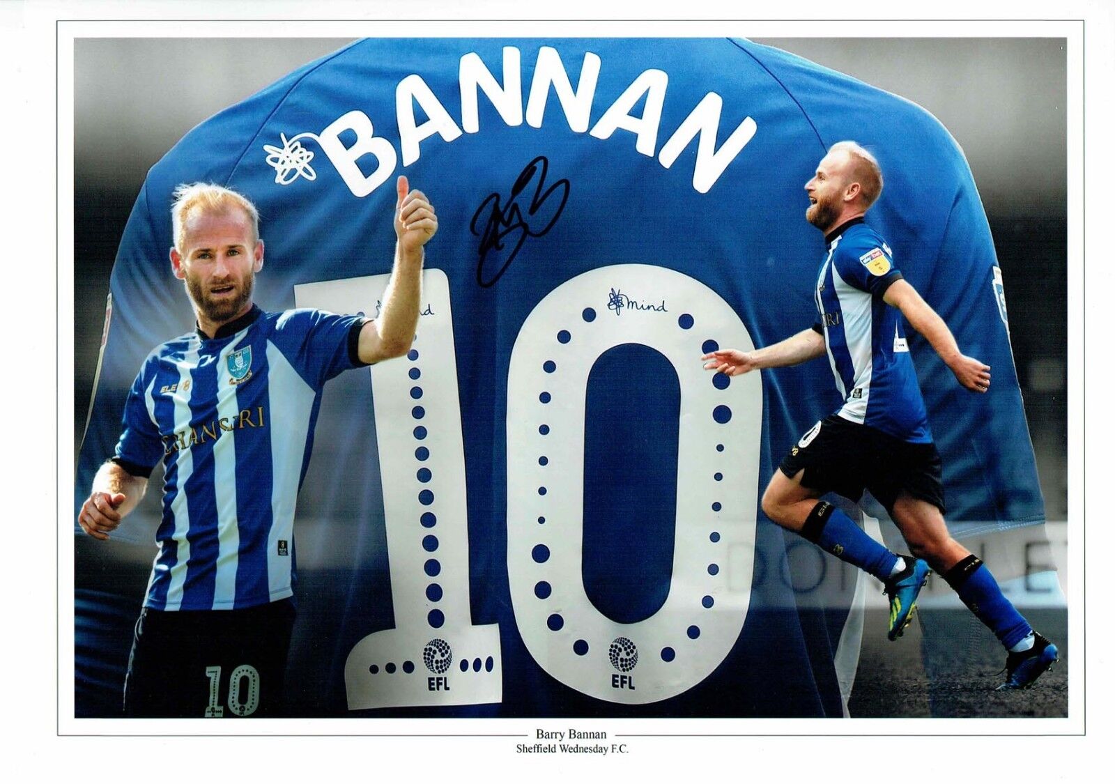 Barry BANNAN Sheffield Wednesday SWFC SIGNED 16x12 Photo Poster painting Montage C AFTAL COA