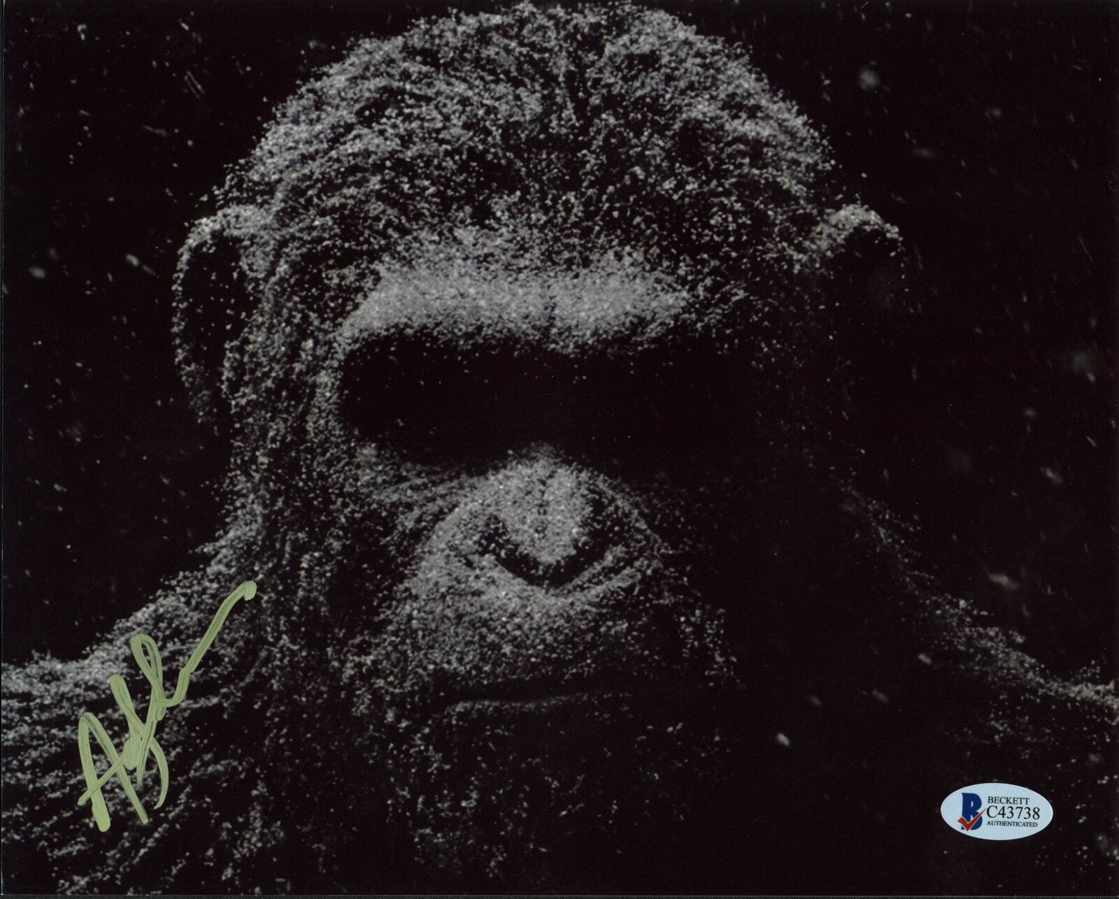 Andy Serkis Planet of the Apes Authentic Signed 8x10 Photo Poster painting BAS #C43738