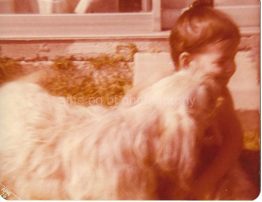 FOUND Photo Poster paintingGRAPH Color DOG CHILD Original Snapshot VINTAGE 14 13 B