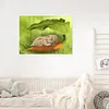 uk.everydayedeals (Limited Stock)Diamond Painting - Full Square - Sleeping Rabbit(40*50cm)