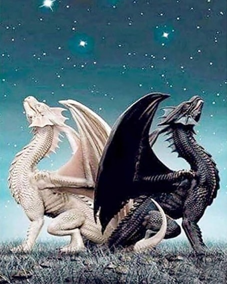 

Dragon Twins – Paint By Numbers - 40*50CM, 501 Original