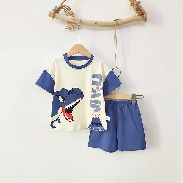 Baby Dinosaur Color Block Tee & Shorts Set