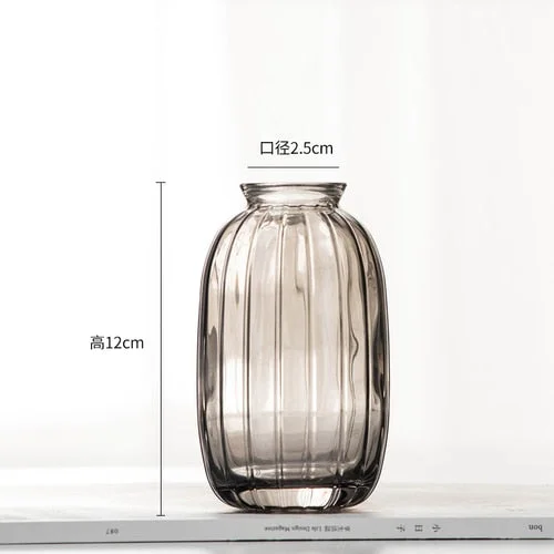 Mini Glass Vase For Decoration Small Living Room Decor Aesthetic Modern Transparent Hydroponic Flower Vase Home Decoration
