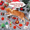 LAST 48 HOURS 49% OFF - 2025 CHRISTMAS COUNTDOWN CAT TOYS ADVENT CALENDAR