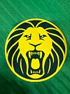 2025/2026 Player Version Cameroon Home Football Shirt 1:1 Thai Quality love fball