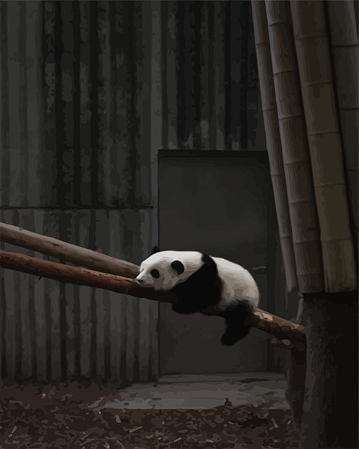

Panda Sad – Paint By Numbers - 40*50CM, 501 Original