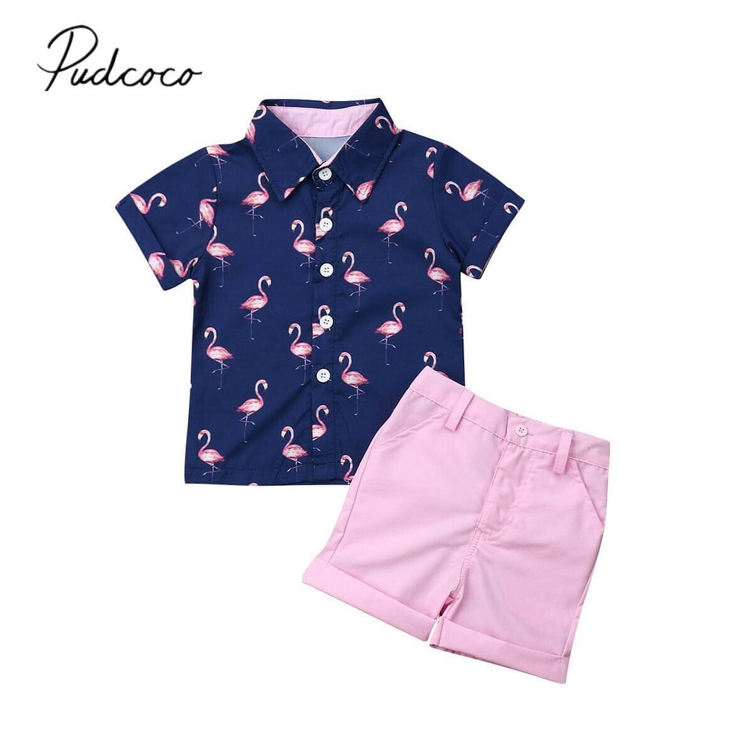 2019 Children Summer Clothing 2PCS Set Toddler Kid Baby Boy Flamingo Tops T-shirt+Shorts Pants Outfits Short Sleeve Clothes 1-6T