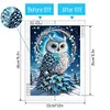 (US Local)Owl-Special Shaped Diamond Painting Kit