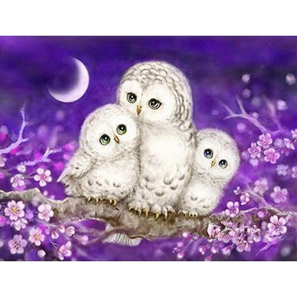 

Owl - Round Drill Diamond Painting - 20*25CM, 501 Original