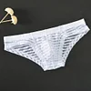 Men's Sexy Mesh Thin Briefs
