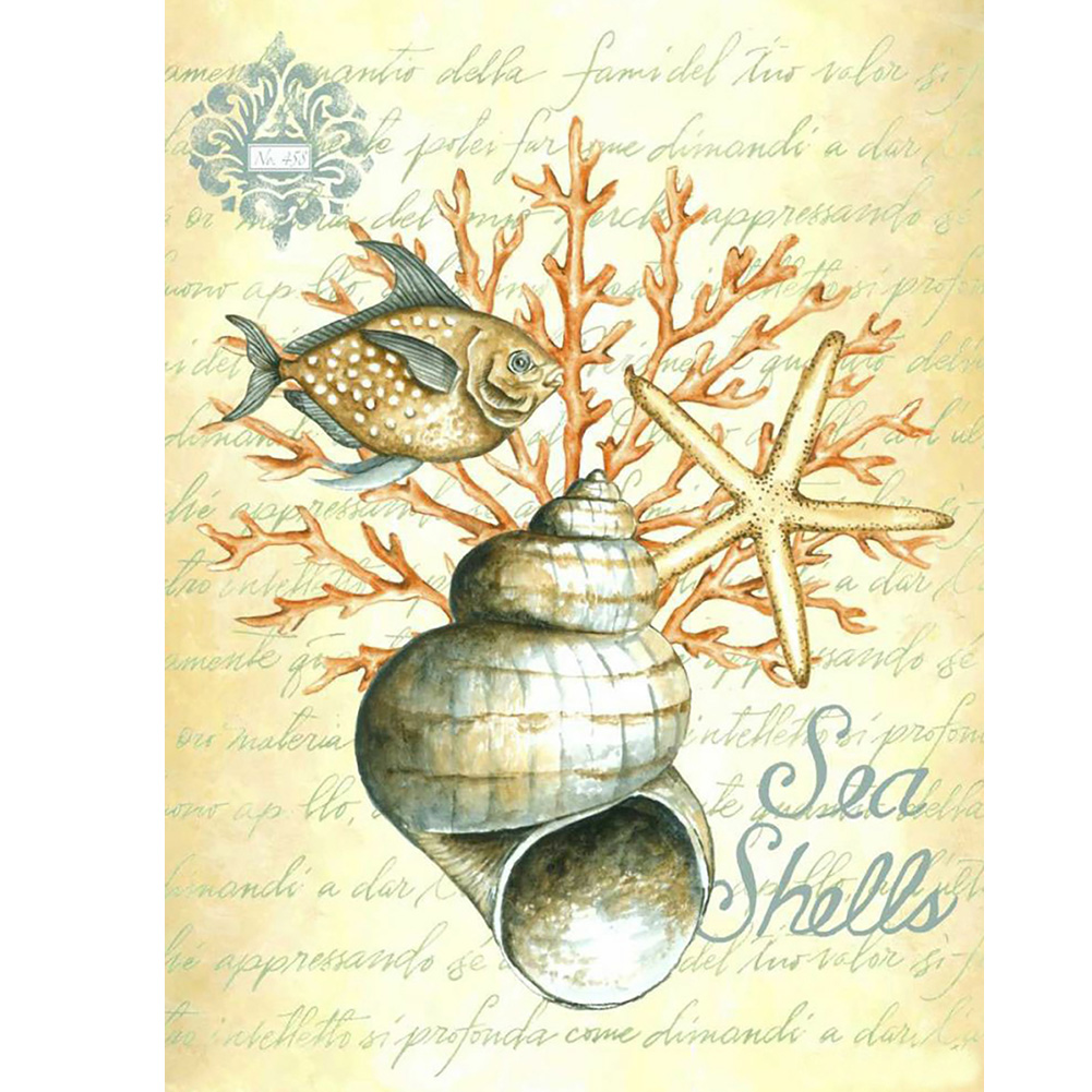 

Shell Conch - Round Drill Diamond Painting - 30*40CM, 501 Original