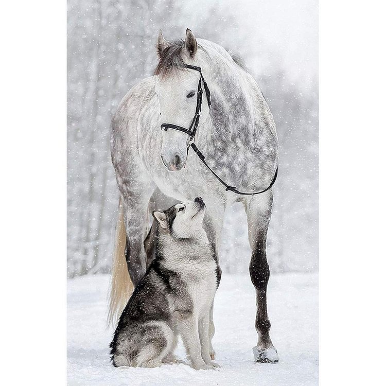 Horse Wolf - Full Diamond Painting - 30x40cm