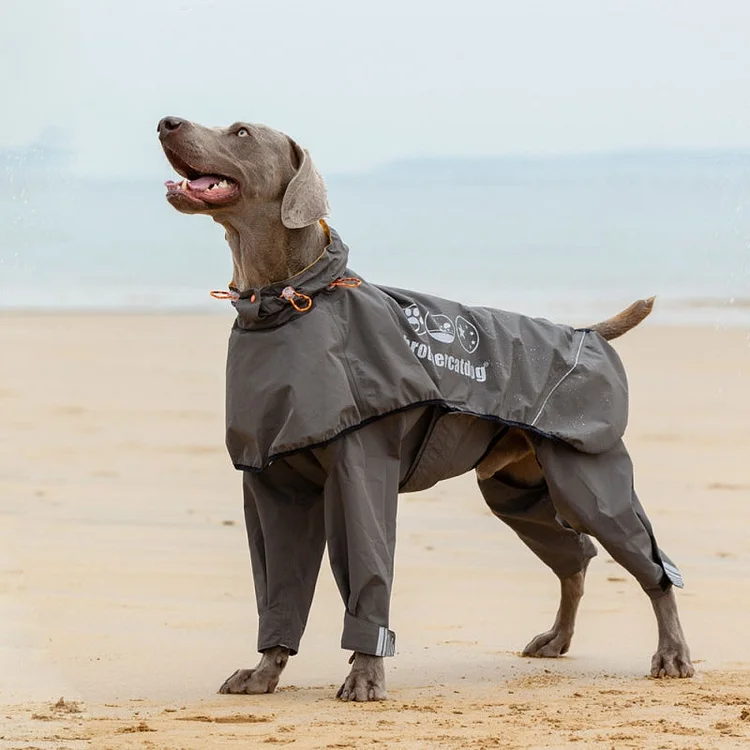 Wrapped Reflective Dog Raincoat With Legs And Hood