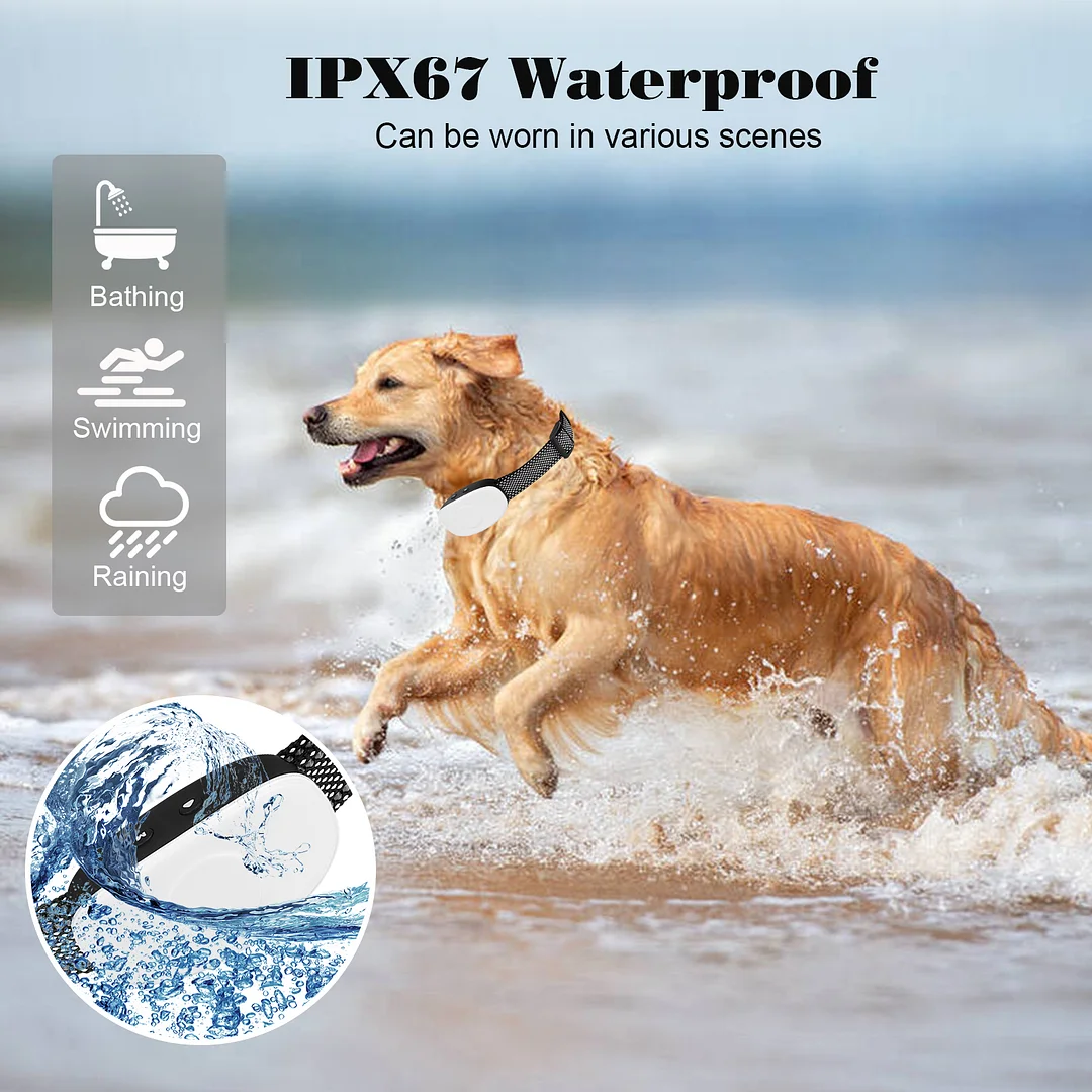 BEBANG Bark Collar for Dogs with 3 Modes Beep Vibration and Shock Dog Shock Collar for Small Medium and Large Dogs, Shock Collar for Dogs in Humane Effective Scientific Training Methods