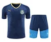 2024/2025 Palmeiras pre-match training Blue Shirt+Shorts 1:1 Thai Quality