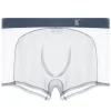 Men's Sexy Ultra-Thin Ice Silk Mesh-Panelled Transparent Boxer Briefs