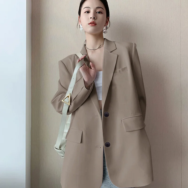 Toloer Toloer Suit Jacket Female Spring And Autumn 2024 New Korean Version Loose Web Celebrity Casual Professional Fashion Small Suit Jacket-Outfit Ideas