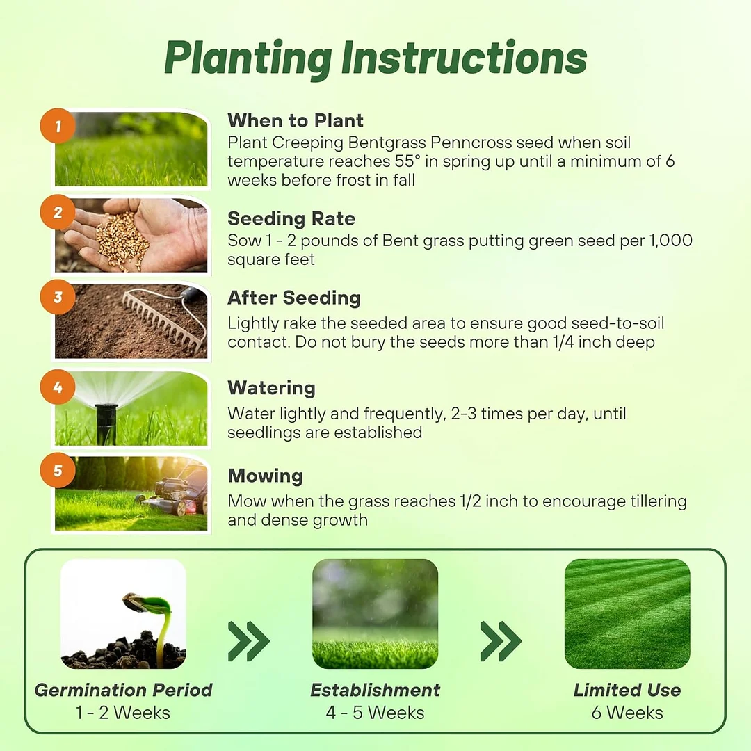 PC2.0 (Penncross) Creeping Bent Grass