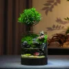 Original Moss Micro Landscape Ecological Bottle Indoor Desktop Plant Green Plant Potted Ecological Tank Fish And Crab