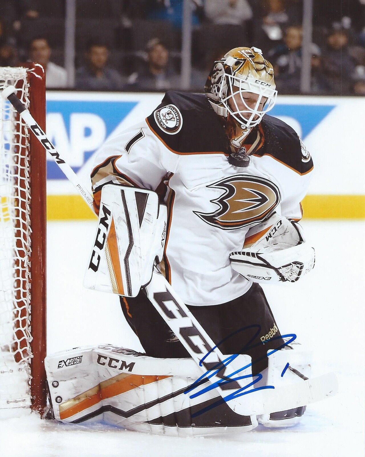 Jonathan Bernier Signed 8x10 Photo Poster painting Anaheim Ducks Autographed COA