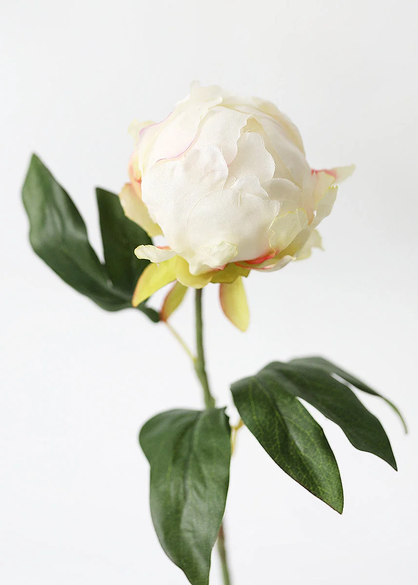 Artificial Flower Peony Bud in Cream - 18"
