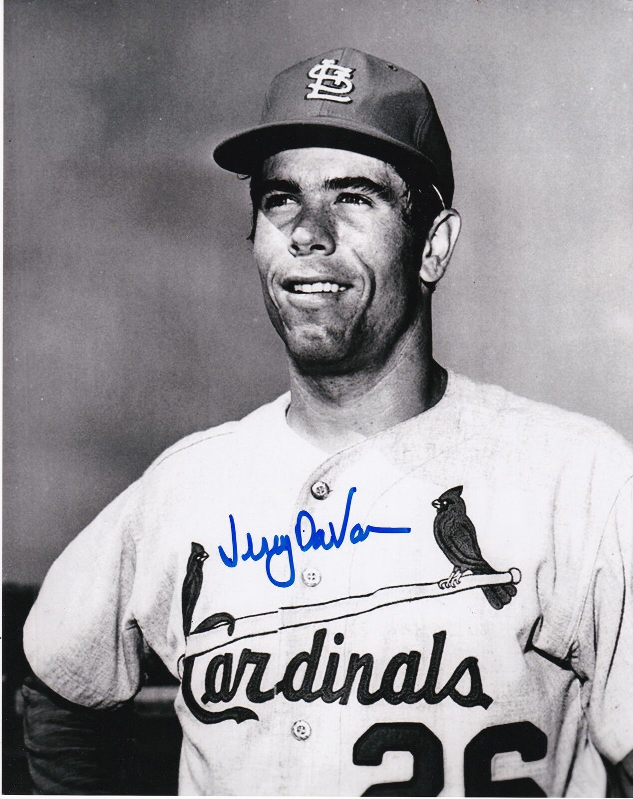 JERRY DAVANON ST. LOUIS CARDINALS ACTION SIGNED 8x10