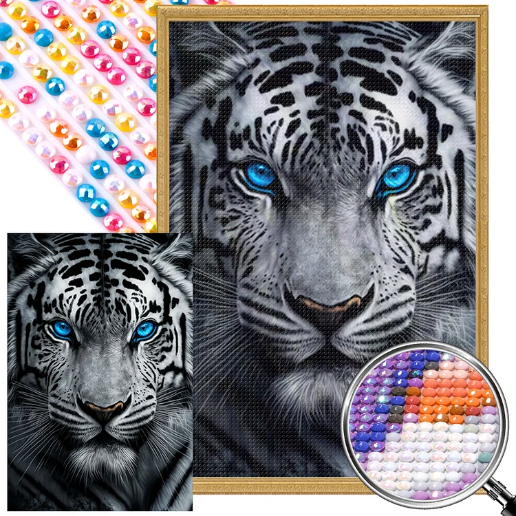Partial AB Drill - Full Round Diamond Painting - White Tiger With Blue Eyes 40*60CM
