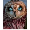 Owl  | Full Round Diamond Painting Kits