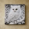 (Pre-Framed)White Owl-Special Shape Diamond Painting Kit(25x25cm)