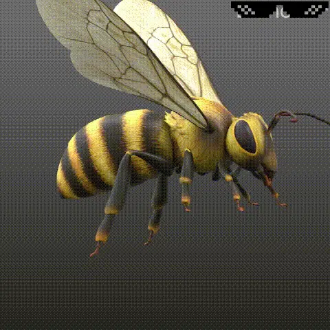 75e10c2505c24ceb184125358a4b06b9.webp